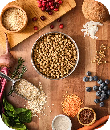 Big Canyon chicken and grain dog food ingredients on a table