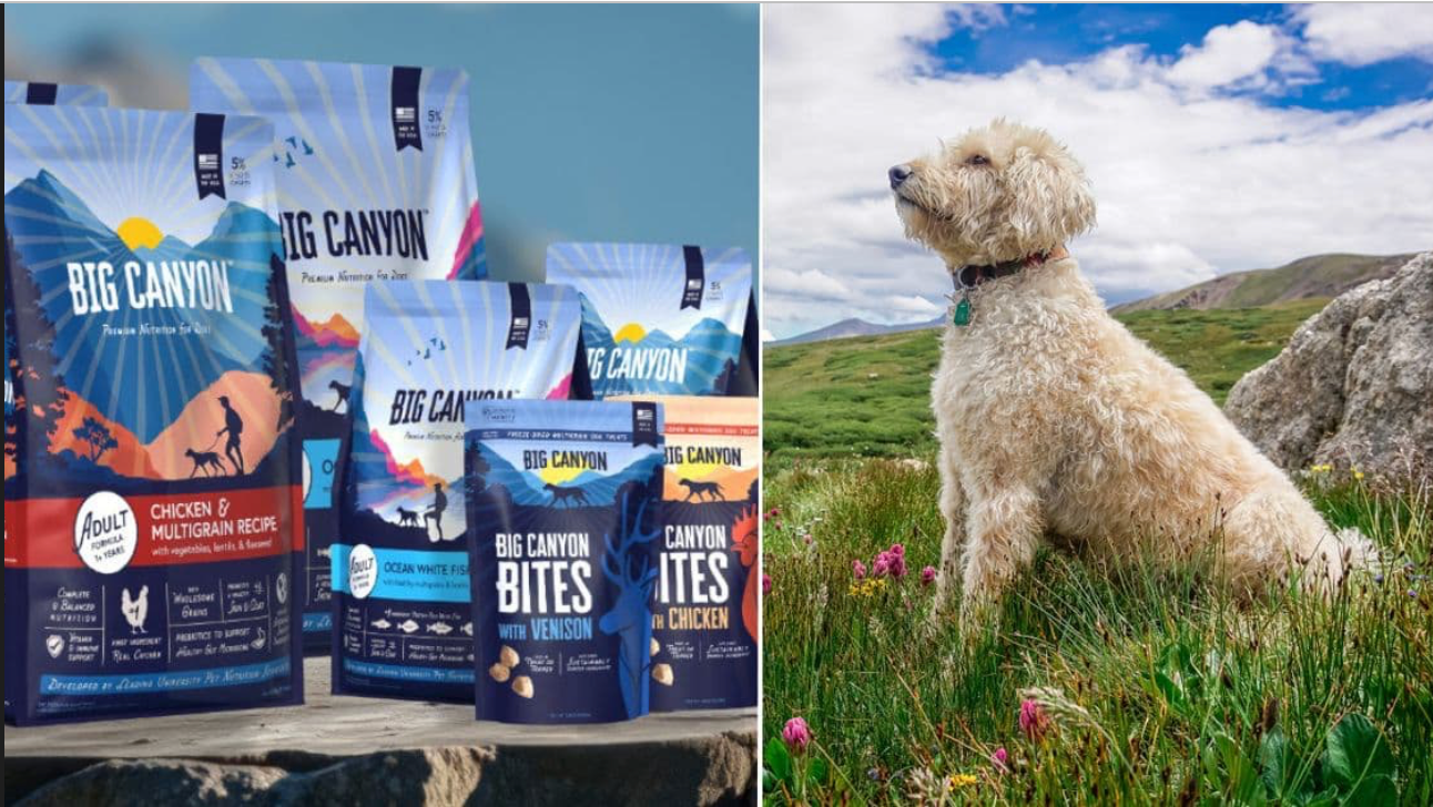 Healthy rescue dog after switching to Big Canyon dog food