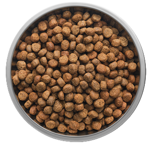 Bowl of Big Canyon Pet Food Co. food