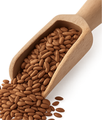 Flaxseed
