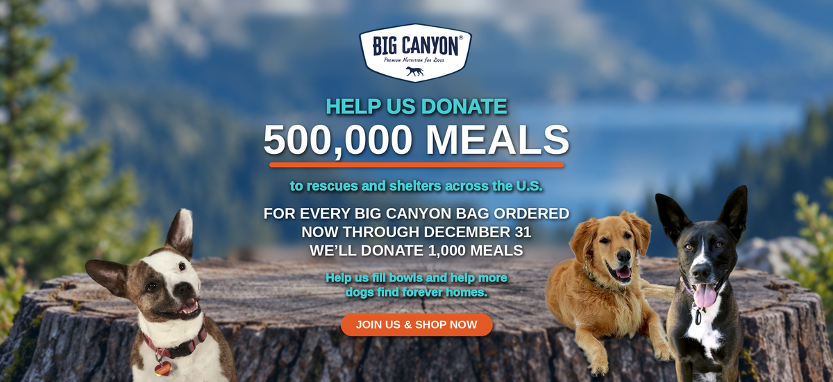 Big Canyon Help Us Donate 500,000 Meals campaign banner